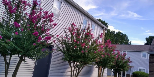 Centers for Youth and Families - Independent Living